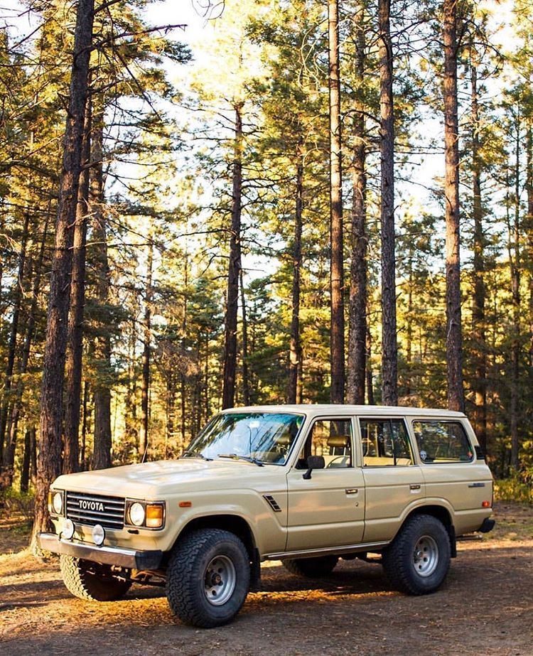750x923, 245 Kb / автомобиль, классика, ретро, toyota, лес, дерево
