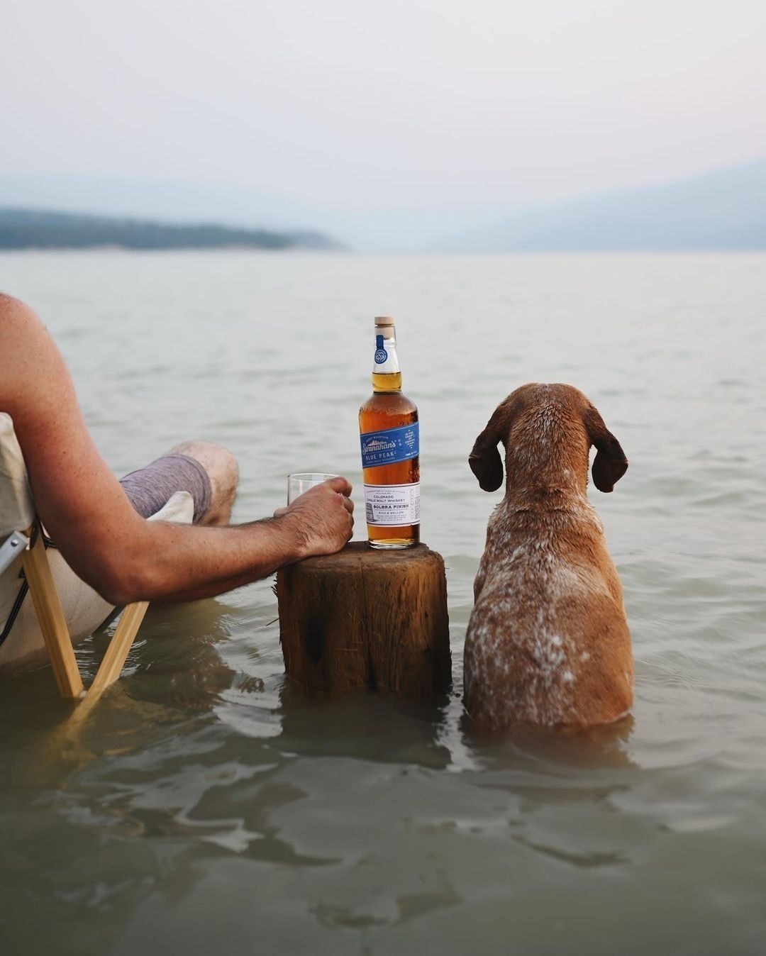 1080x1348, 126 Kb / собака, бутылка, кресло, виски, озеро