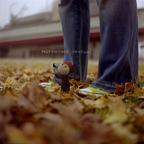 480x480, 91 Kb / мороженое, листья