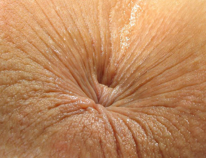 700x540, 182 Kb / asshole, анус, дырка