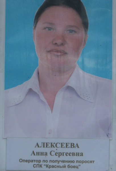 408x600, 47 Kb / работа, оператор, поросята