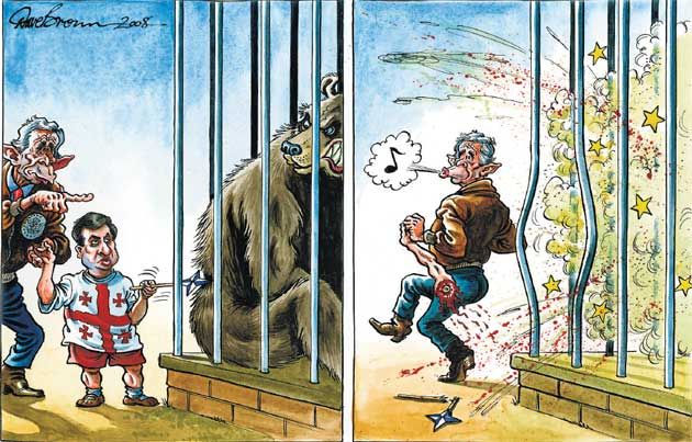 630x403, 79 Kb / карикатура, Буш, Саакашвили, война, медведь, рисунок, зоопарк, дразницца