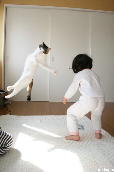 400x600, 28 Kb / сумо, кот, ребёнок, полёт