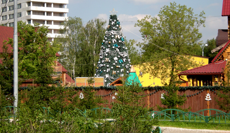 800x463, 257 Kb / ёлка, новый год, лето