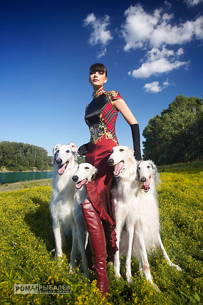 399x600, 86 Kb / борзые, небо