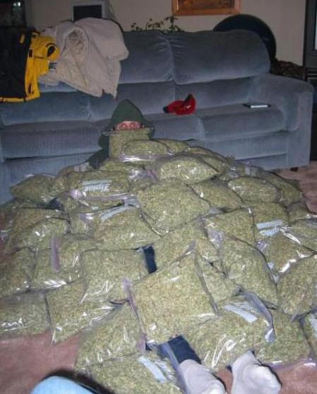 449x557, 40 Kb / трава, пакеты, марихуана, пушер