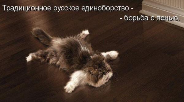 600x333, 26 Kb / Кот, лень, единоборство