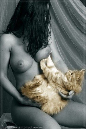 300x450, 31 Kb / сиськи, кошка, ч/б