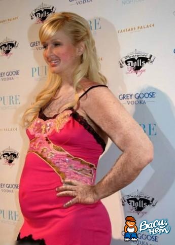 345x483, 47 Kb / перис хилтне