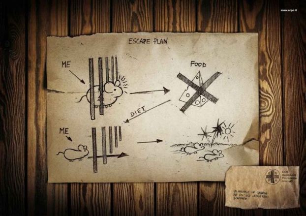 622x439, 51 Kb / Побег, план