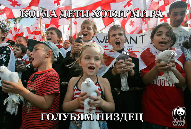 640x432, 178 Kb / дети, грузия, голуби, пиздец