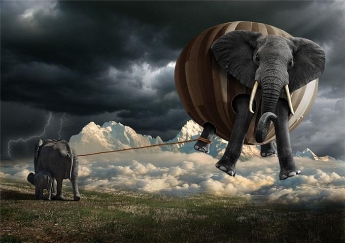 700x493, 63 Kb / слоны, воздушный шар