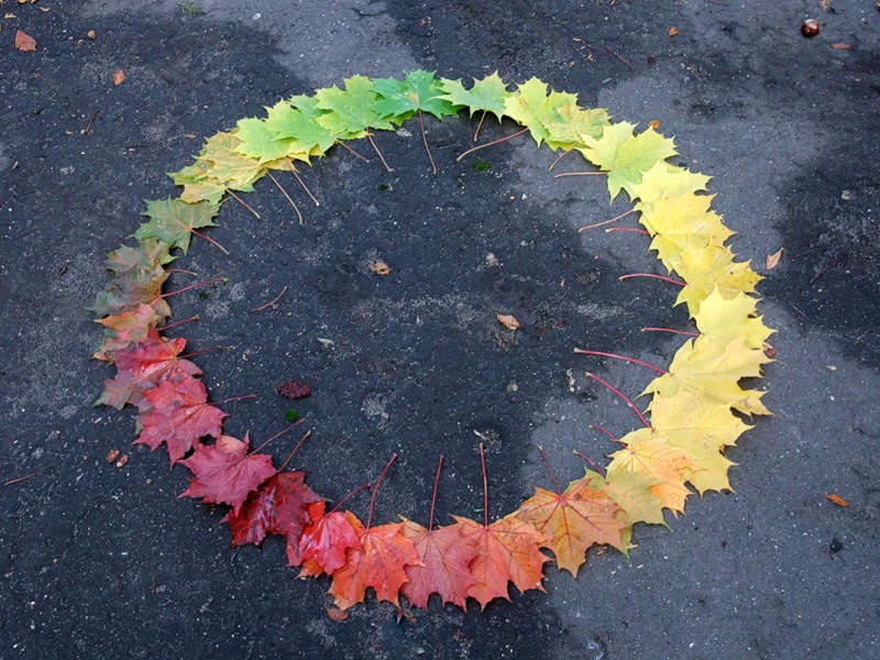 800x600, 177 Kb / осень, листья