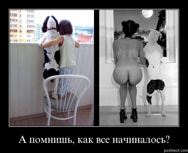 620x504, 44 Kb / девочка, собака, окно