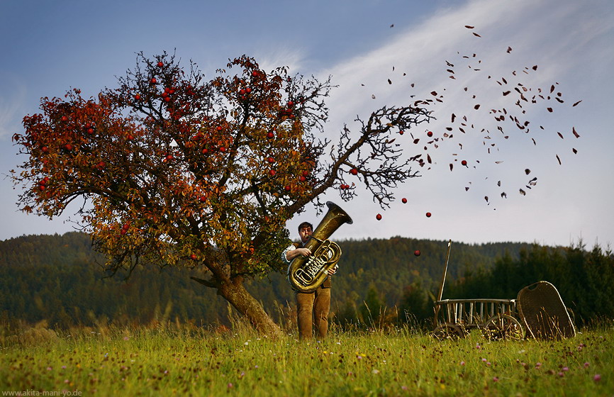 866x560, 201 Kb / дерево, осень, туба, листья