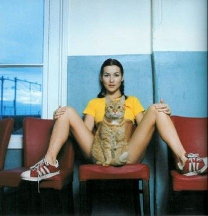 414x430, 26 Kb / ноги, кошка, кеды