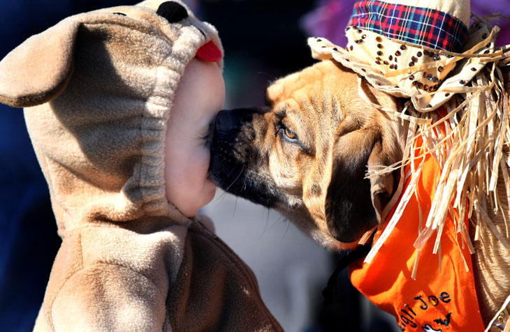 730x476, 144 Kb / мальчик, собака, поцелуй, засос