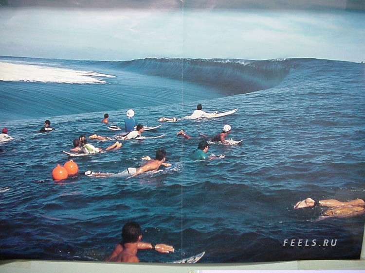 750x562, 112 Kb / море, серфинг, люди, волна