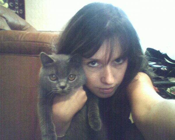 600x480, 44 Kb / девушка, кошка, кот