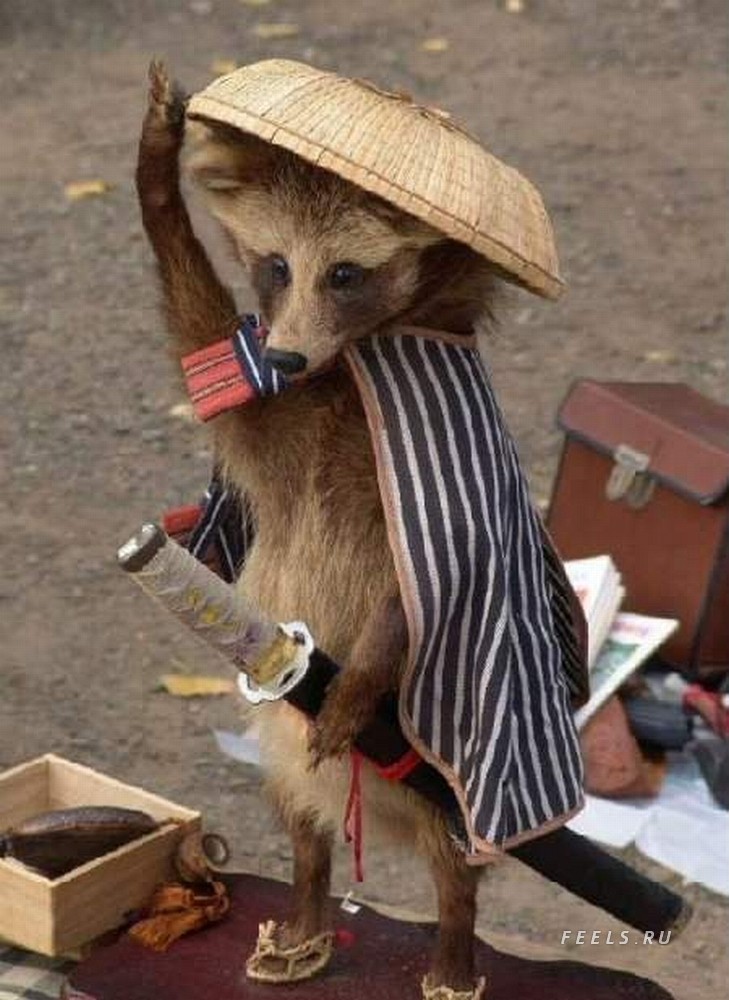 729x1000, 136 Kb / самурай, медведь, шпага