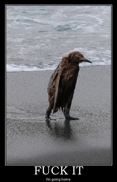 400x624, 54 Kb / птица