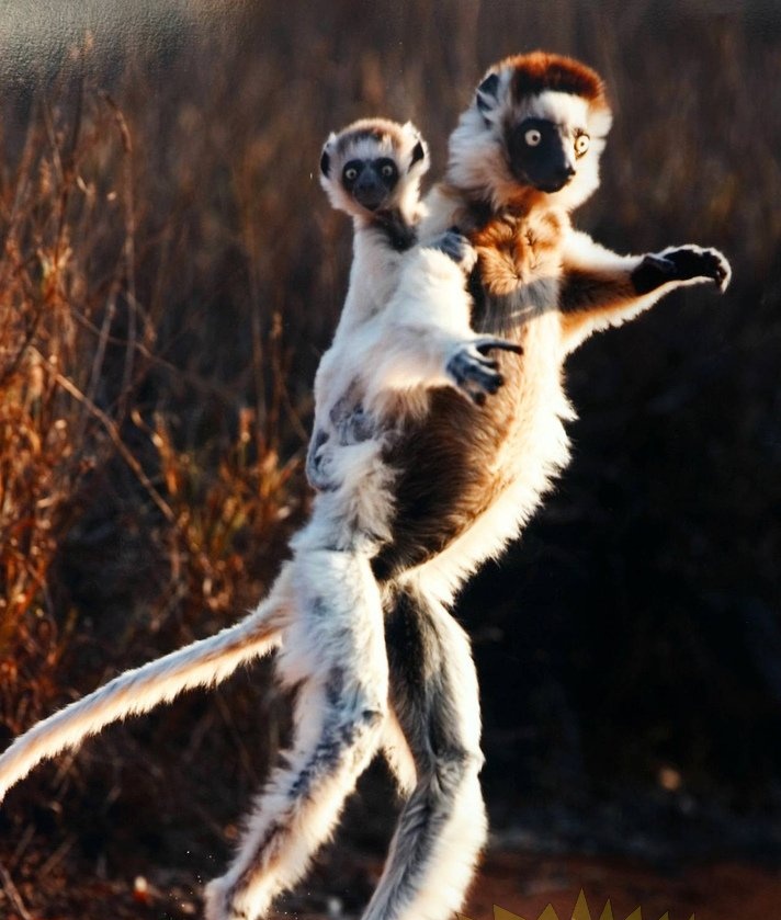 712x839, 147 Kb / мама, сын