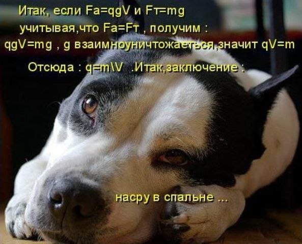 593x480, 52 Kb / насрать, мелажка