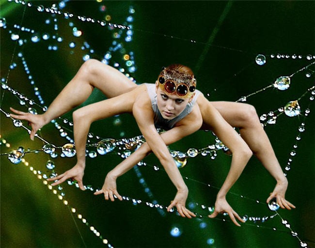 650x511, 87 Kb / человек-паук, паутина, шестиногая