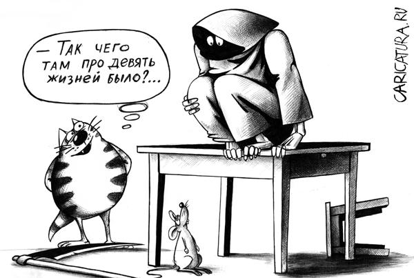 600x403, 38 Kb / кошка, жизни, смерть, мышь