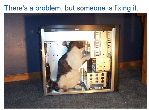 627x462, 76 Kb / кот, системник, системный блок