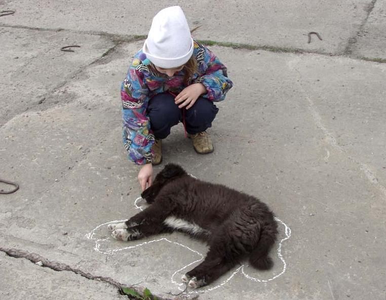 762x592, 70 Kb / собака, асфальт, мел, контур