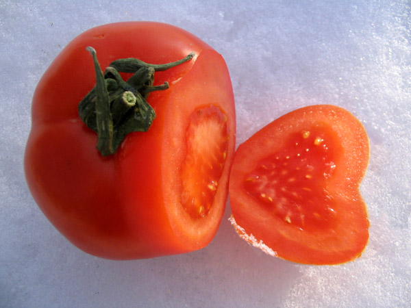 600x450, 64 Kb / помидор, сердце, снег