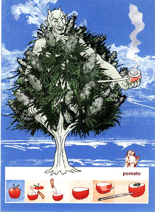 500x680, 76 Kb / яблоко, нож, трубка, самопал, ручная работа, инструкция, мануал, табак, дерево, черт