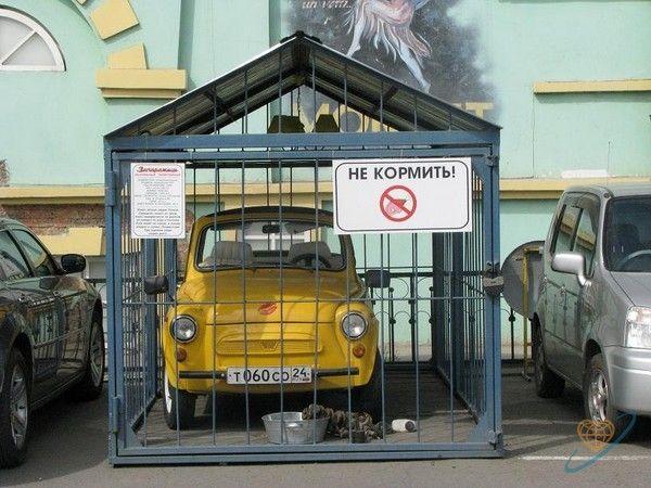 600x450, 61 Kb / запорожец, клетка