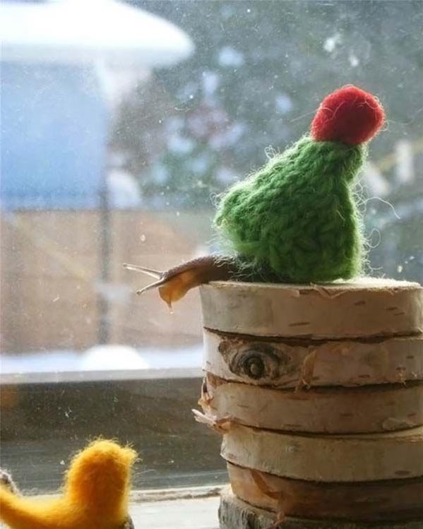 599x749, 81 Kb / улитка, окно