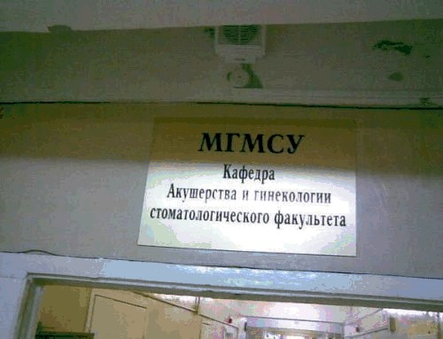 500x382, 41 Kb / вывеска, гинекология, стоматология