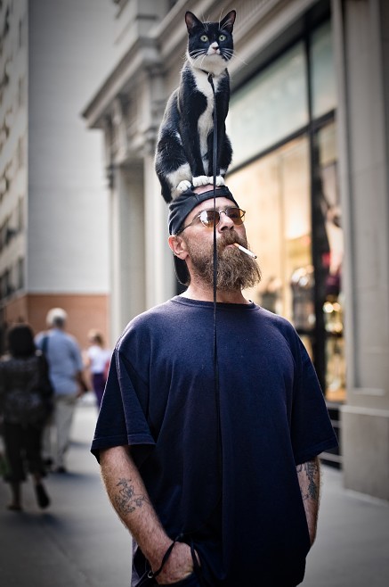 437x658, 56 Kb / человек, кот, Nicholas Breslow