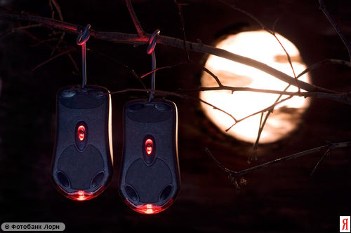 500x333, 22 Kb / мыши, луна