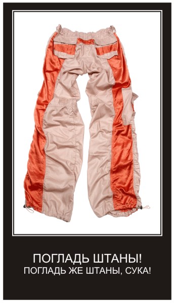 344x600, 47 Kb / штаны, сука