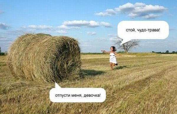 600x388, 52 Kb / трава