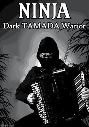 300x427, 28 Kb / ниндзя, баянист, тамада