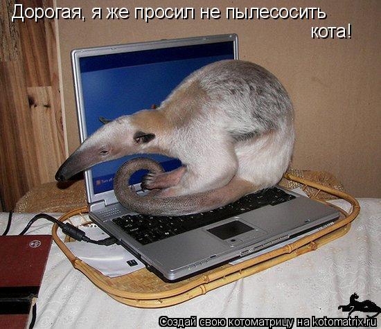 550x475, 58 Kb / муравьед, пылесос