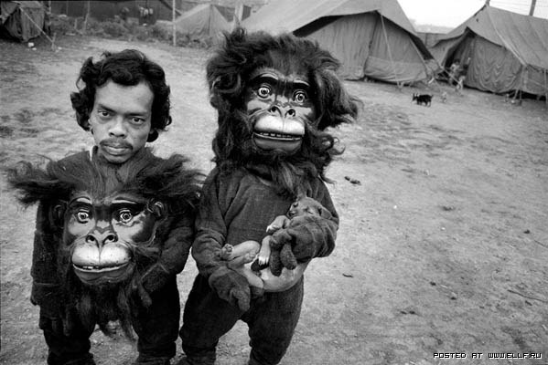 599x400, 64 Kb / маска, обезьяна, карлик