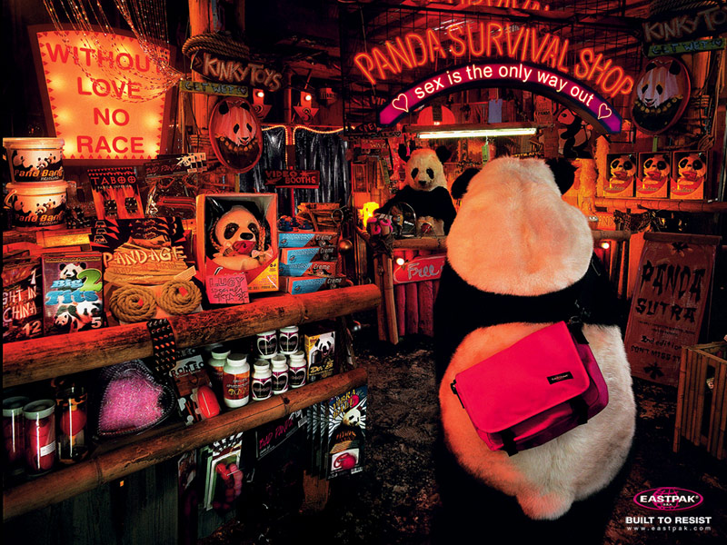 800x600, 211 Kb / панда