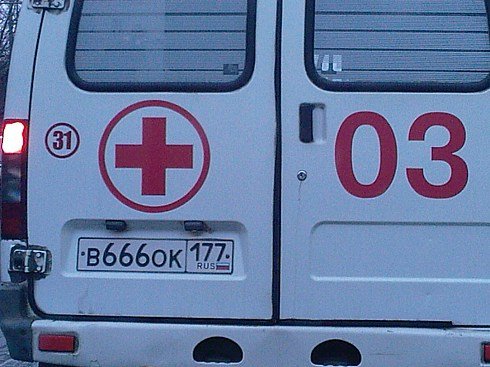 490x367, 51 Kb / 03, 666