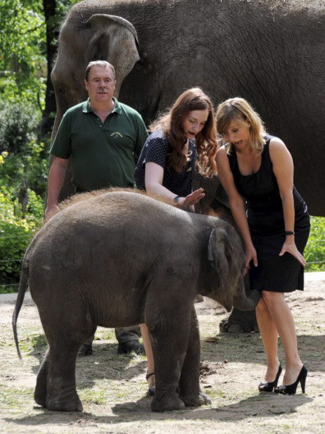 462x617, 90 Kb / секси, слон, девушки, слоненок