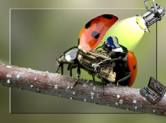 640x476, 69 Kb / лампа, сучок, ремонт, божья коровка