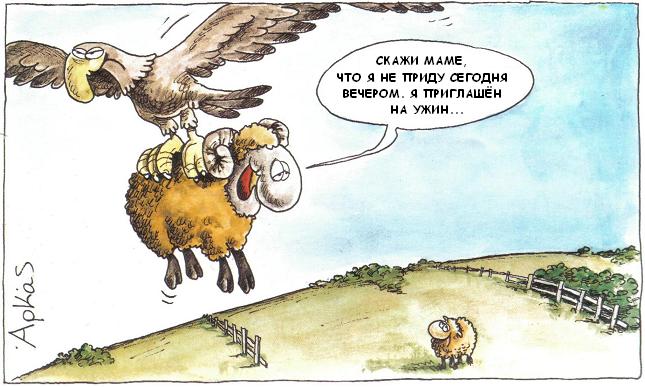 645x387, 52 Kb / баран, орёл, ужин