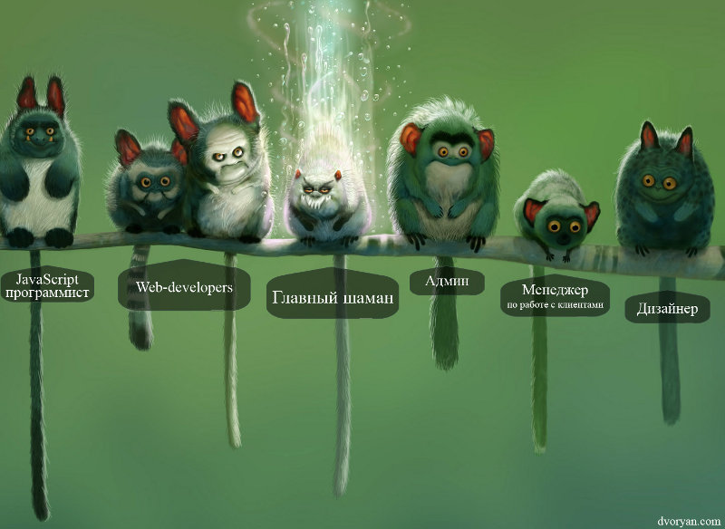 800x584, 78 Kb / team, команда