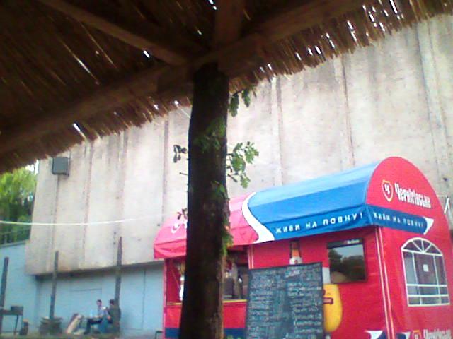 640x480, 41 Kb / дерево